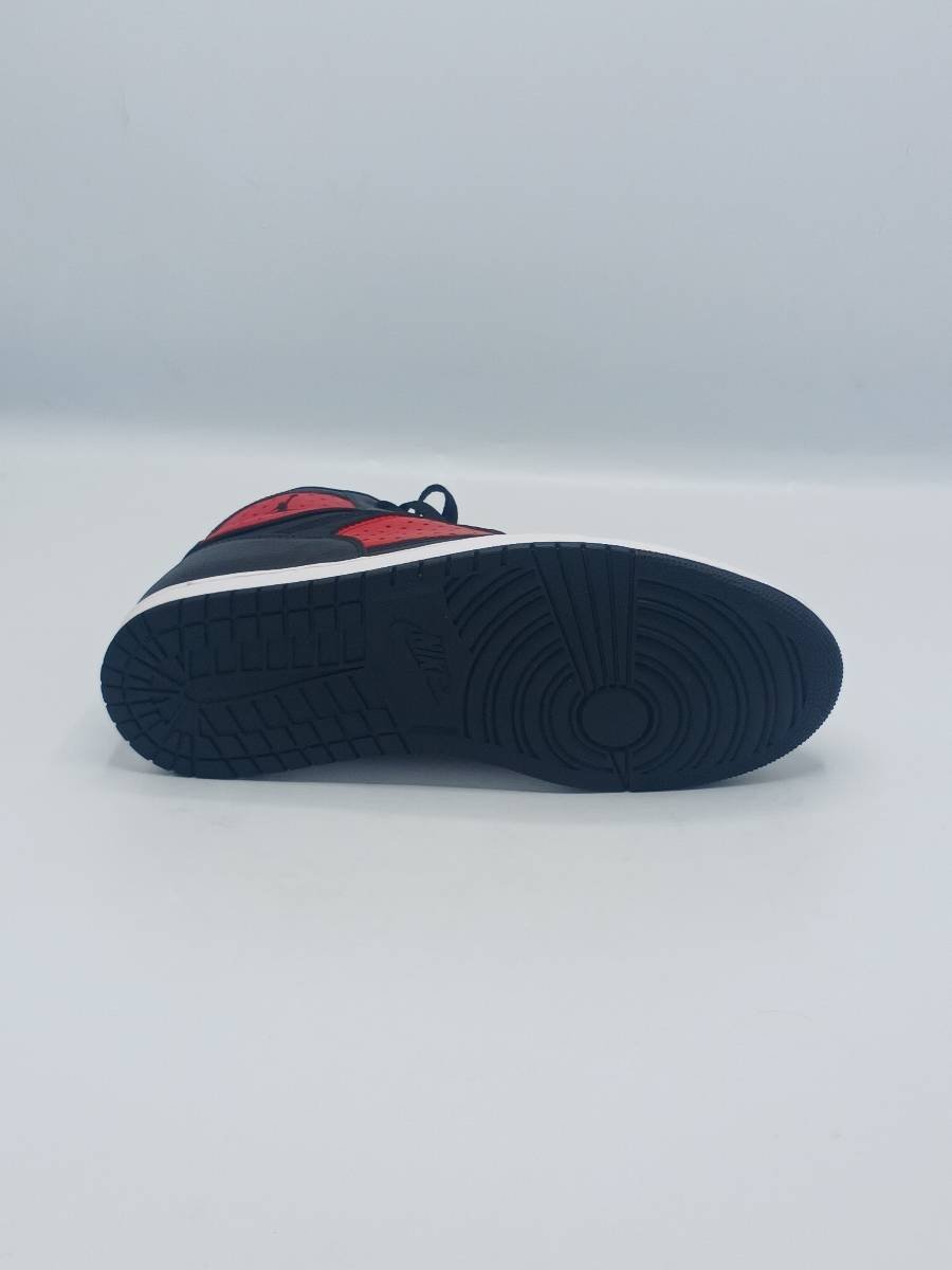 Jordan Access Men