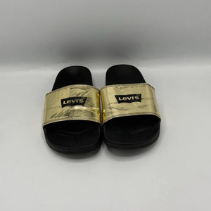 Levis Metalic Slides