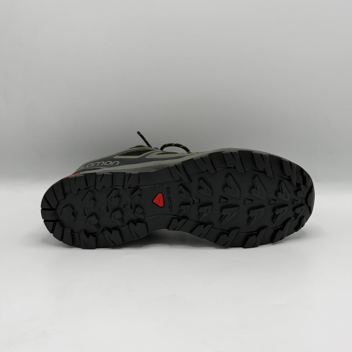 Salomon X Radiant GTX