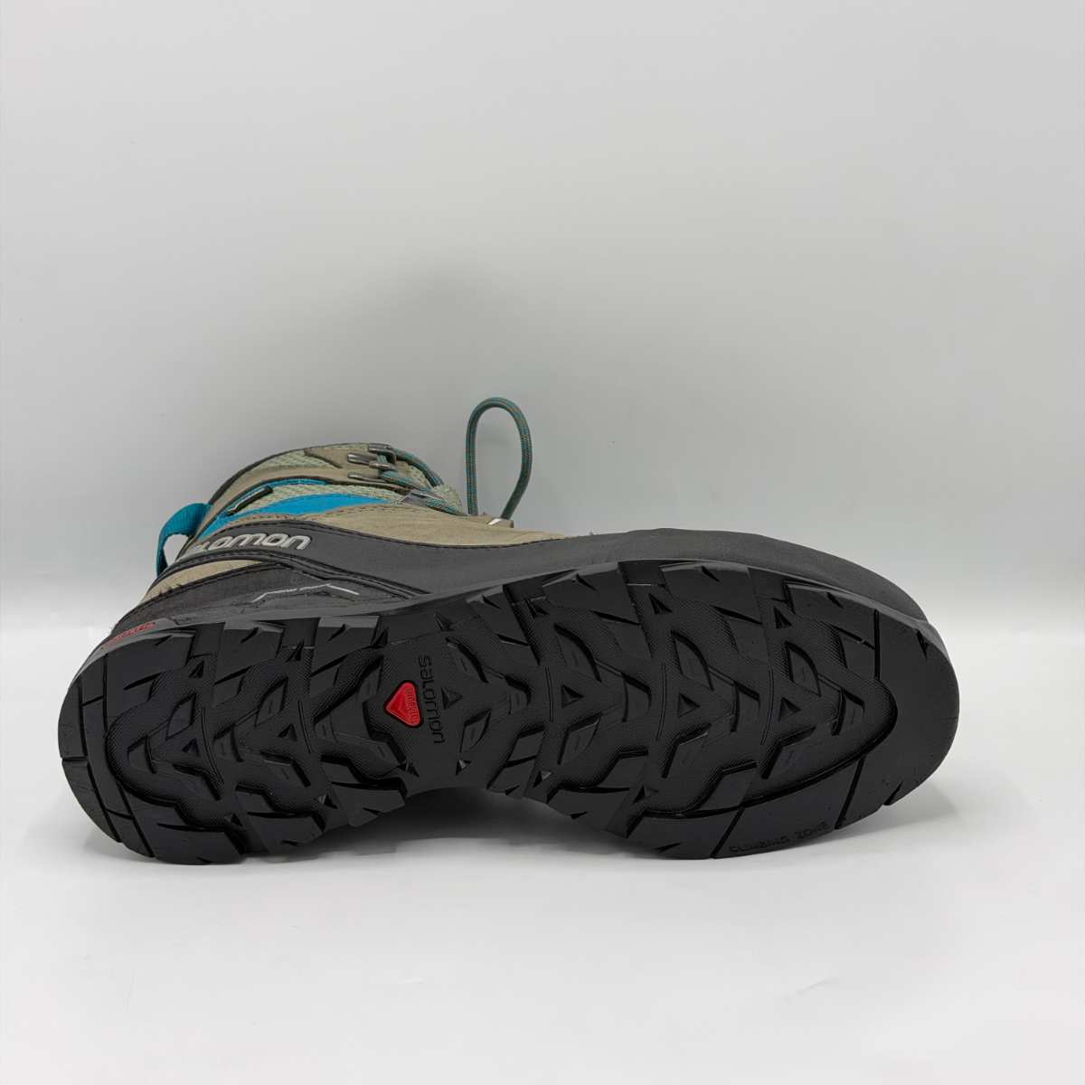 Salomon X ALP GTX