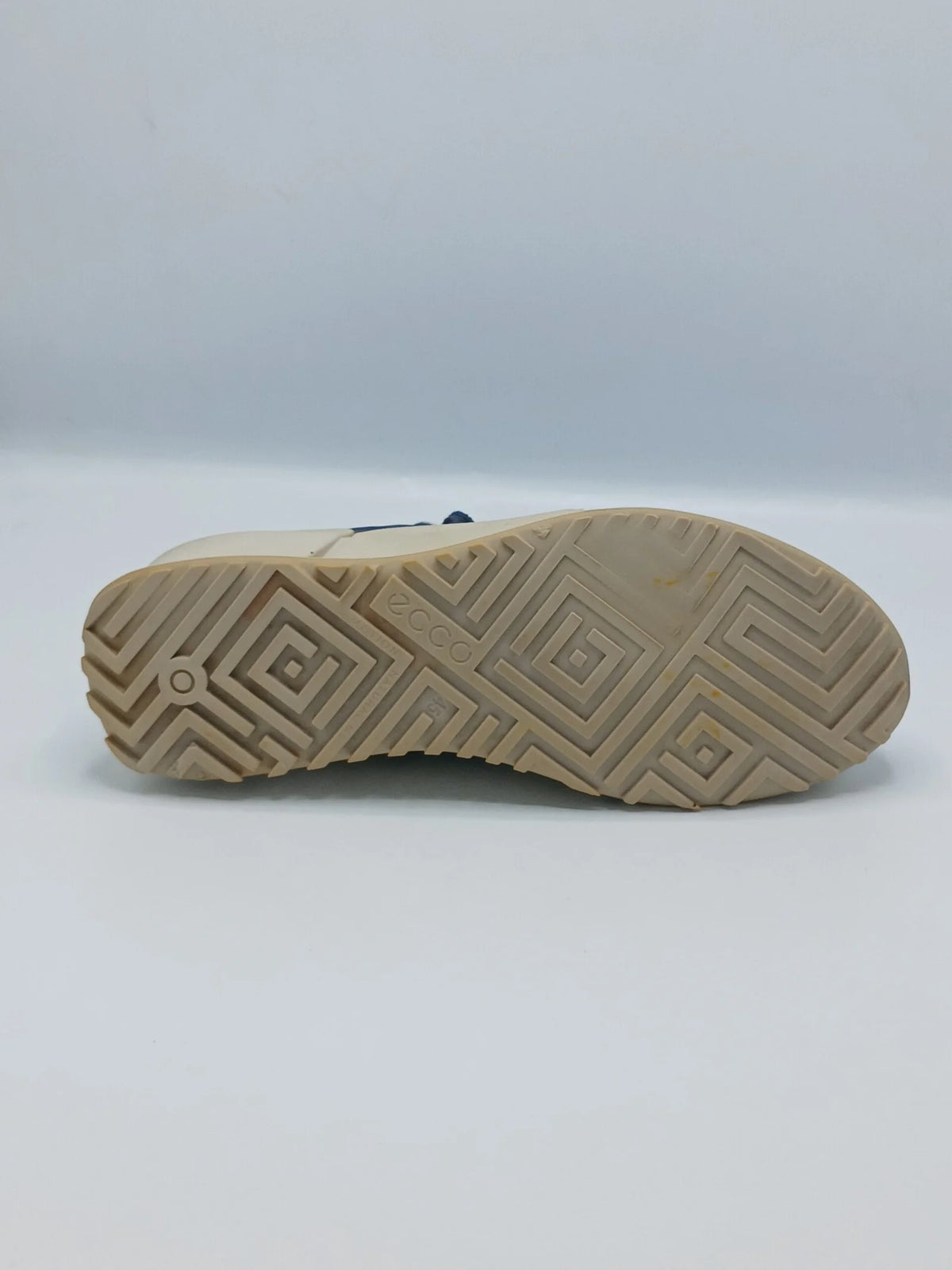 Eico Biom 2.0