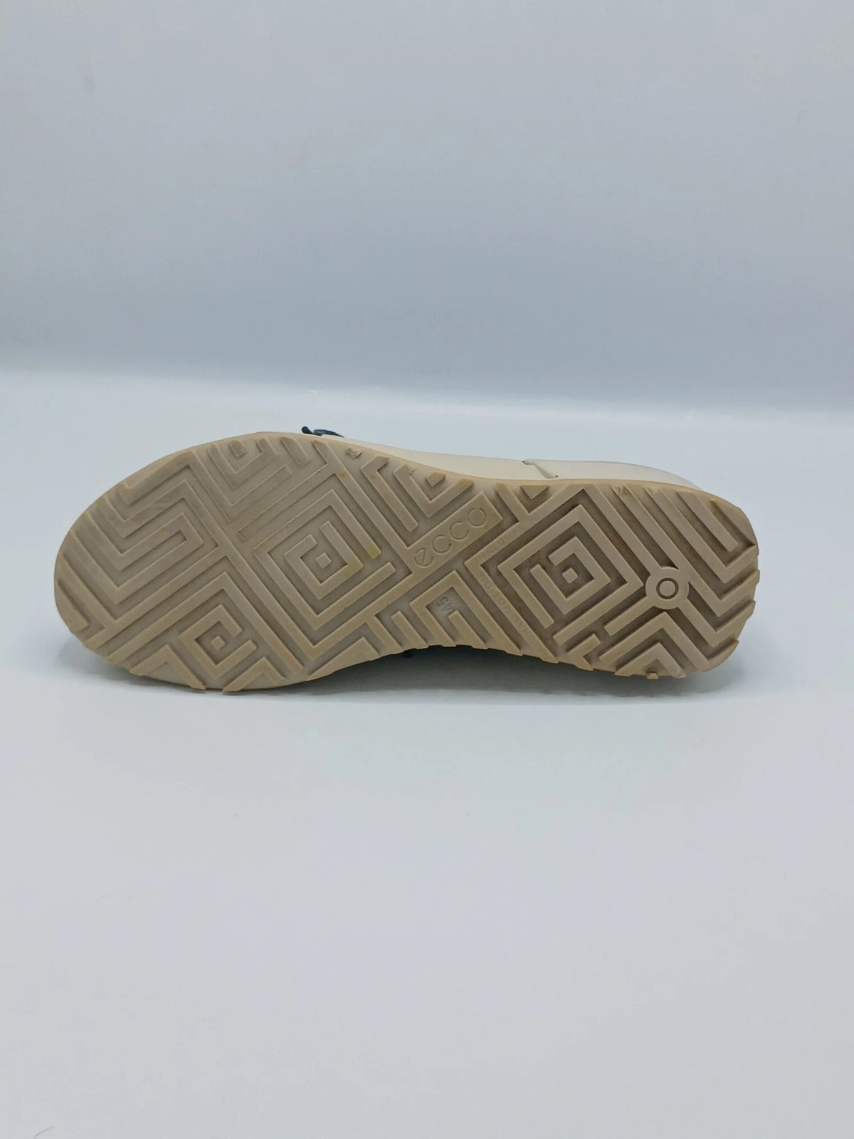 Eico Biom 2.0