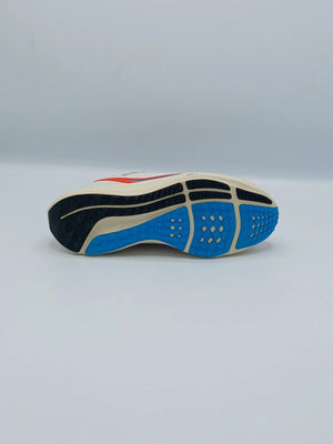 Nike Pegasus 40