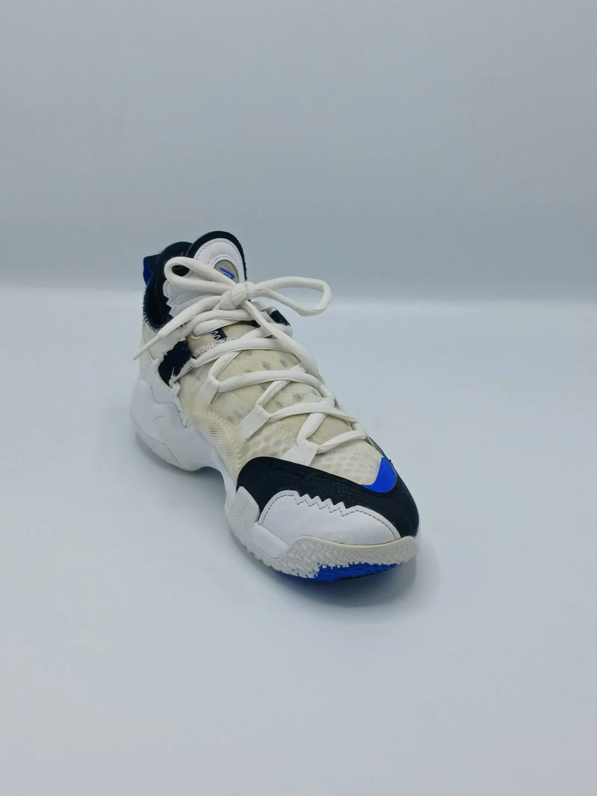 Nike Air Jordan why not .5