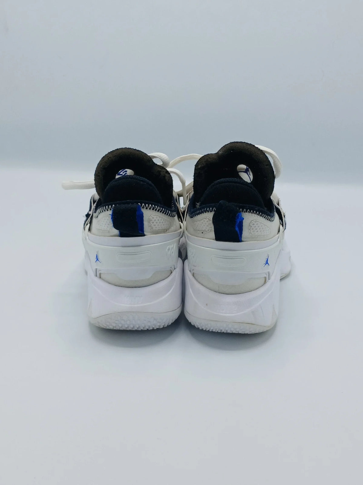 Nike Air Jordan why not .5