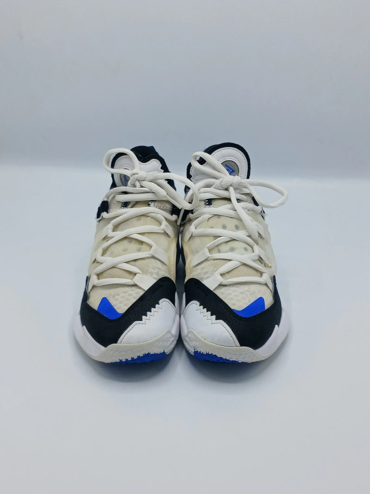 Nike Air Jordan why not .5