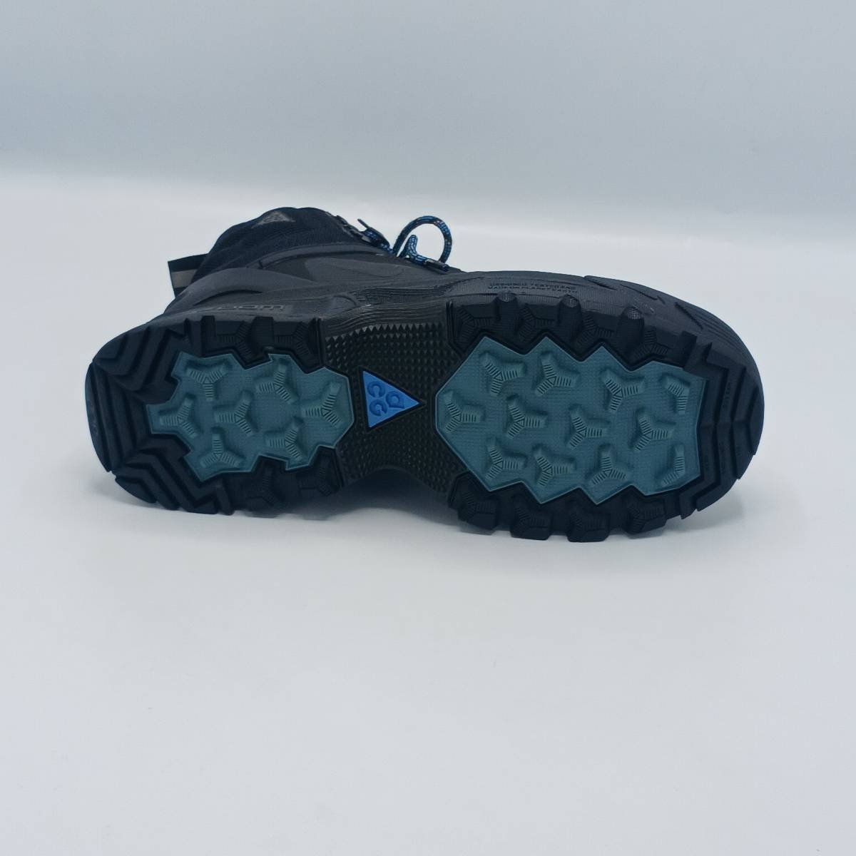 Nike ACG Zoom GTX
