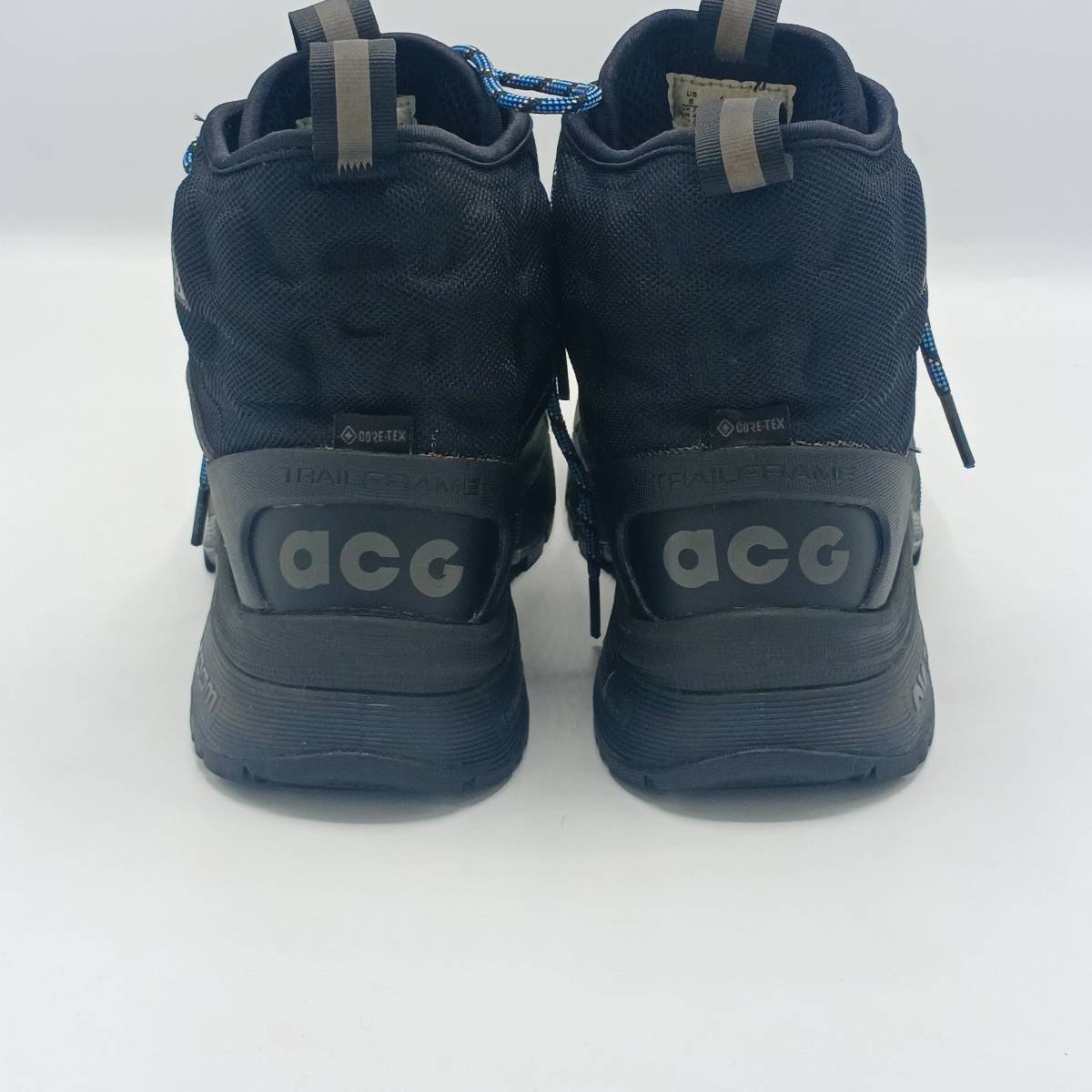 Nike ACG Zoom GTX