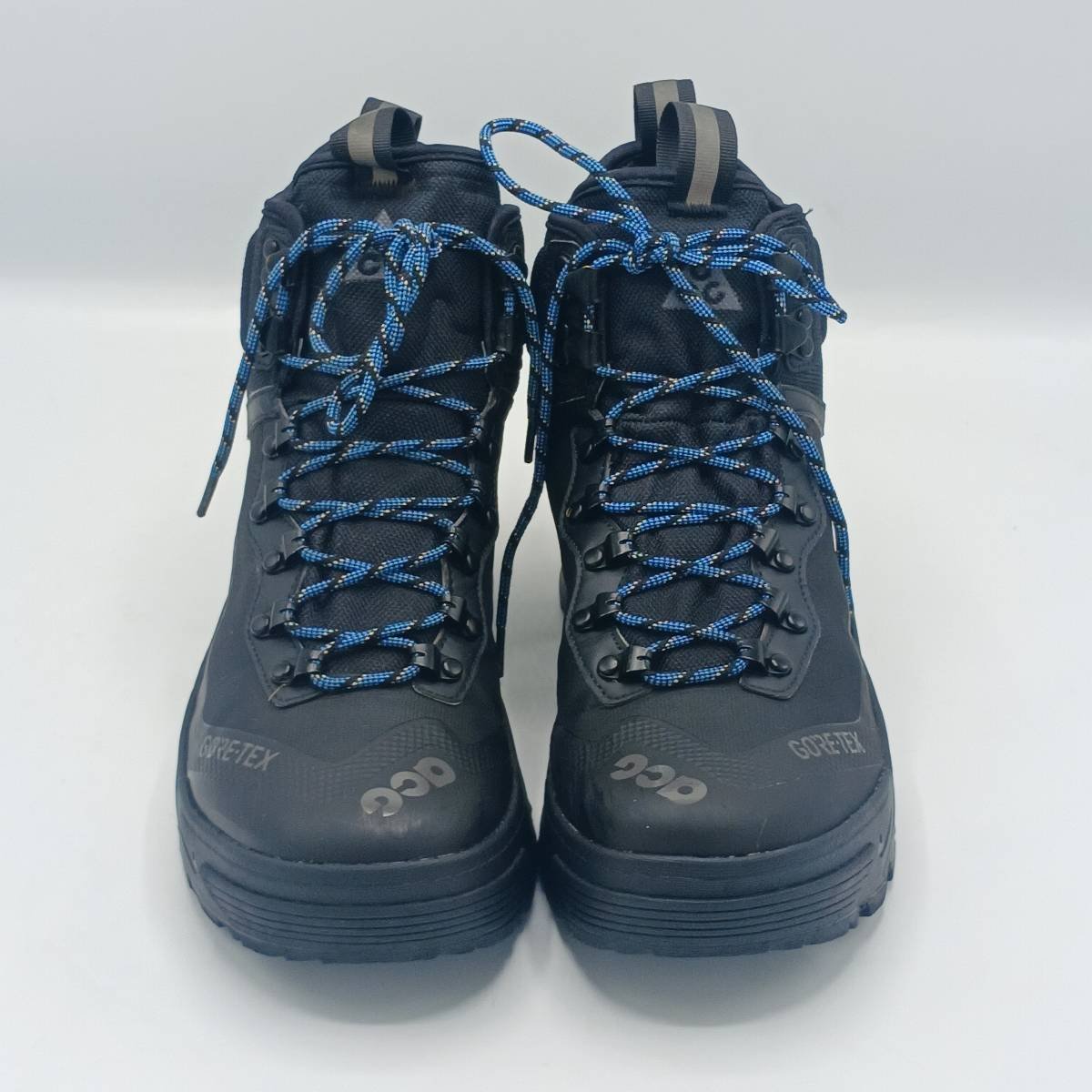 Nike ACG Zoom GTX