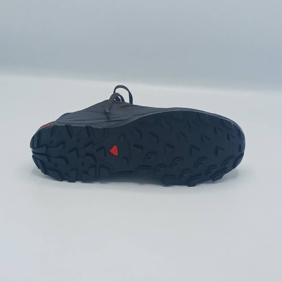 Salomon Out line