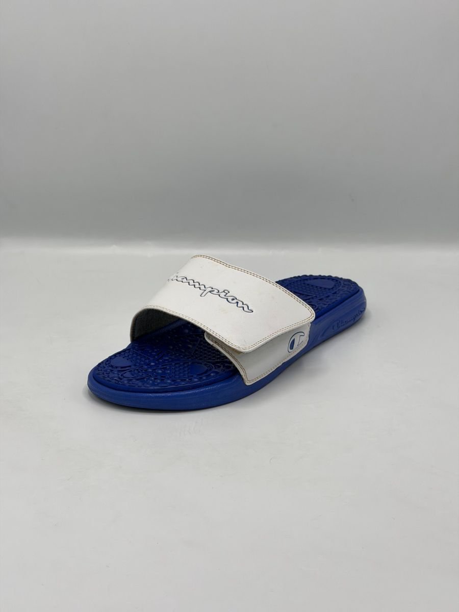 Champion IPO Slides