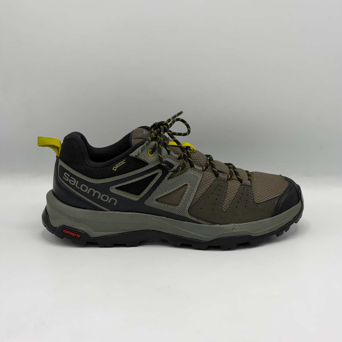 Salomon X Radiant GTX