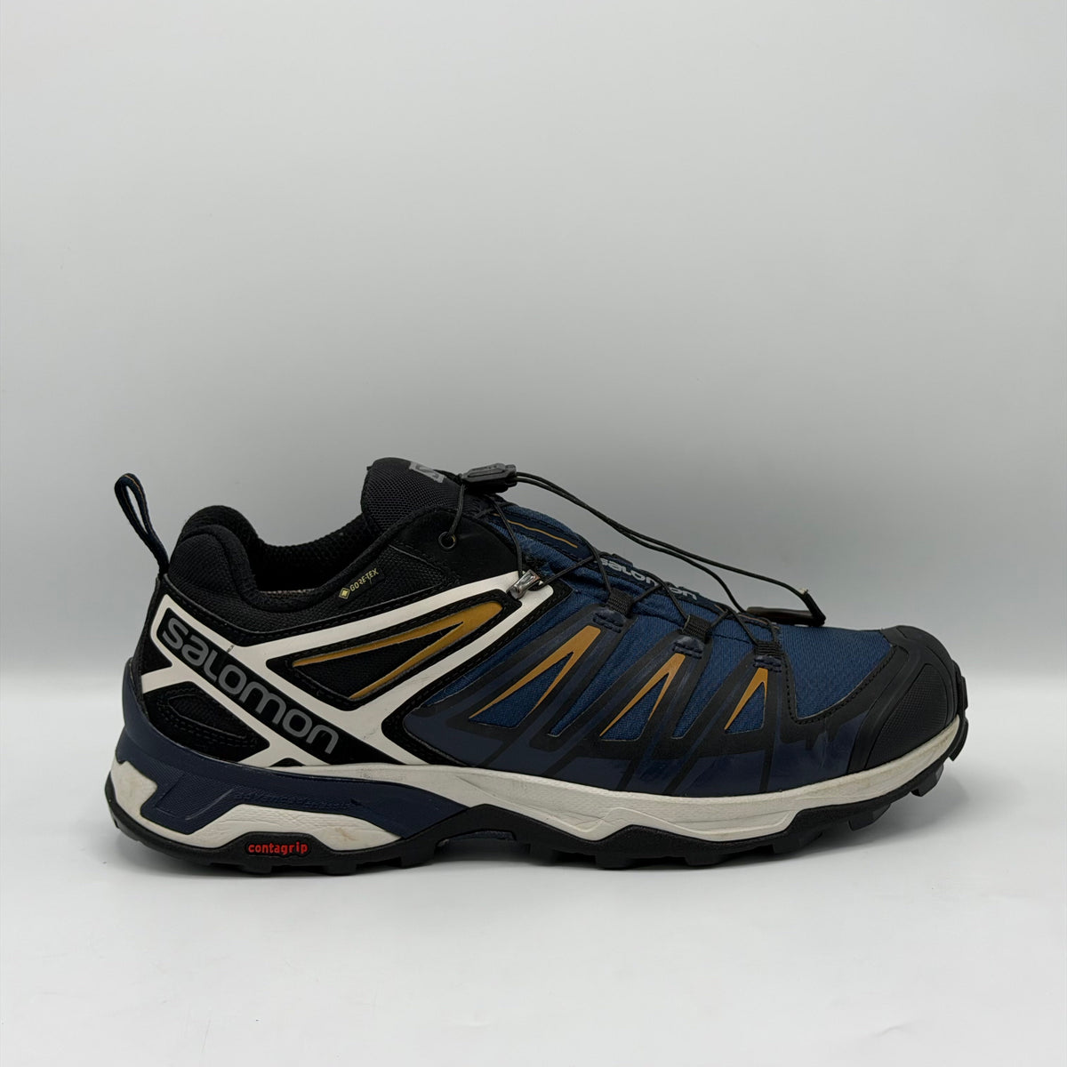 Salomon Mens X Ultra GTX