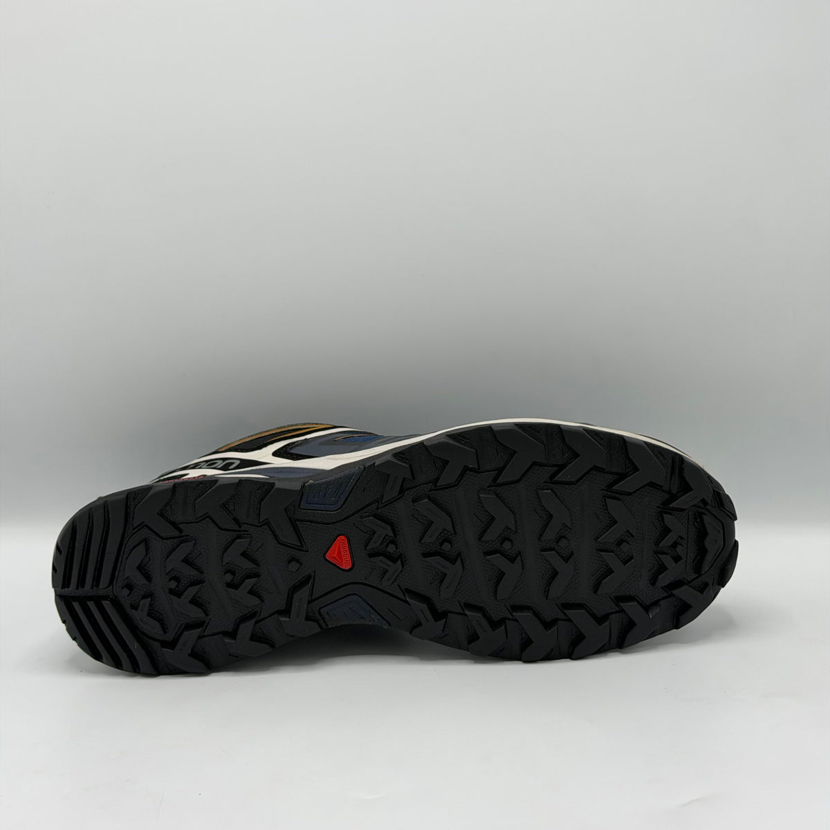 Salomon Mens X Ultra GTX
