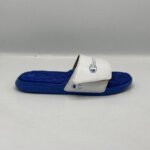 Champion IPO Slides